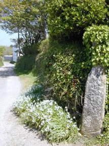 entrance to the gables cottage