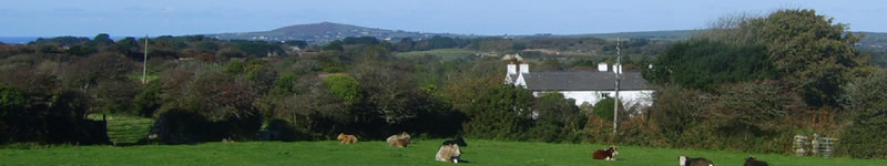 view from the upstairs window at the gables cottage, higher trevethan